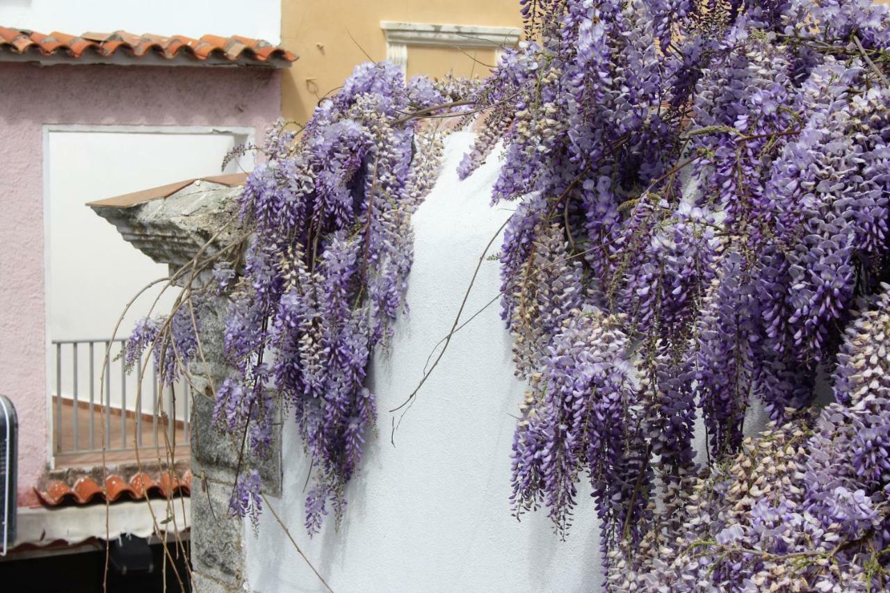Casa Gandamar B&B Santa Teresa Gallura Εξωτερικό φωτογραφία