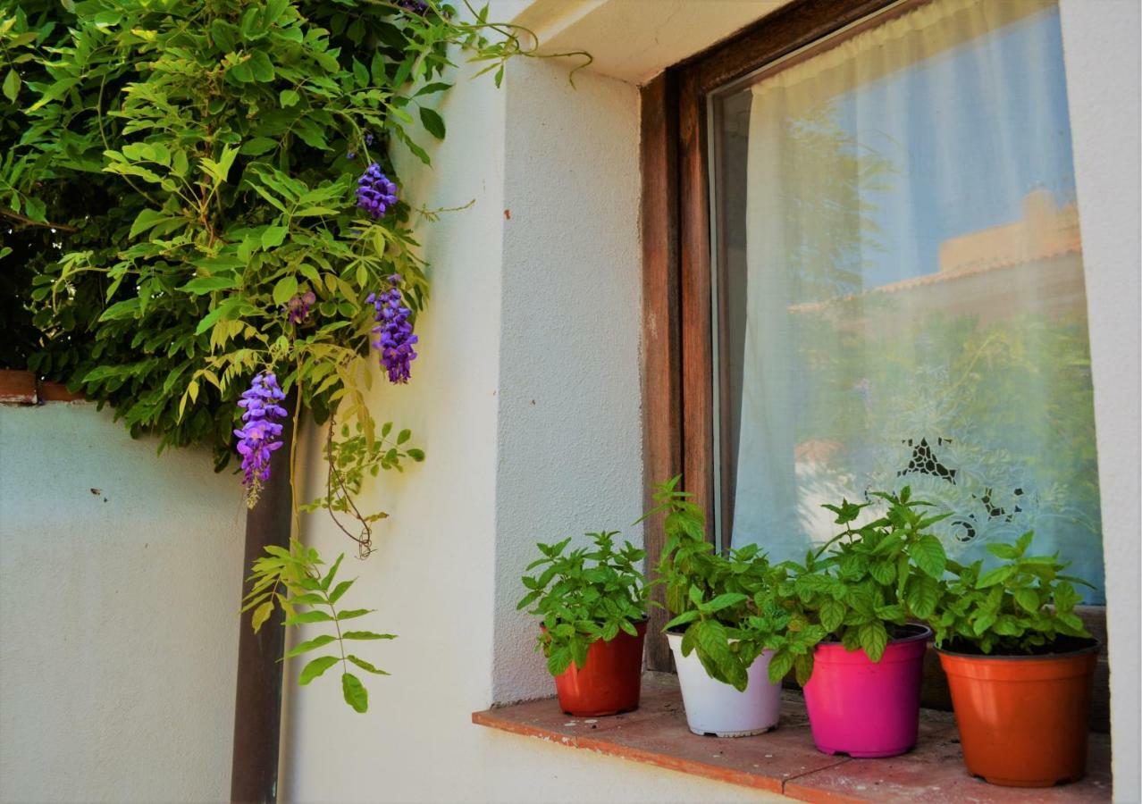 Casa Gandamar B&B Santa Teresa Gallura Εξωτερικό φωτογραφία