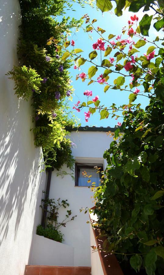 Casa Gandamar B&B Santa Teresa Gallura Εξωτερικό φωτογραφία