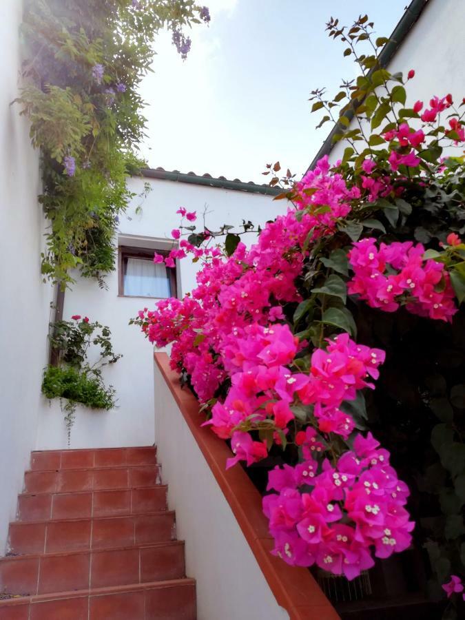 Casa Gandamar B&B Santa Teresa Gallura Εξωτερικό φωτογραφία